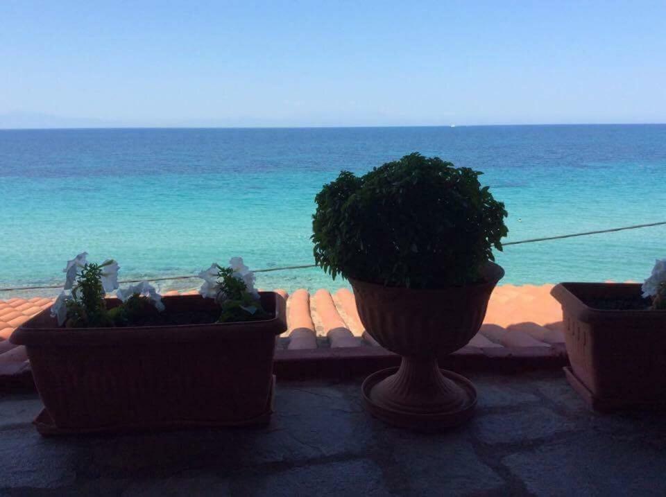 Beautiful Home, By The Sea,comfortable-siviri Chalkidiki